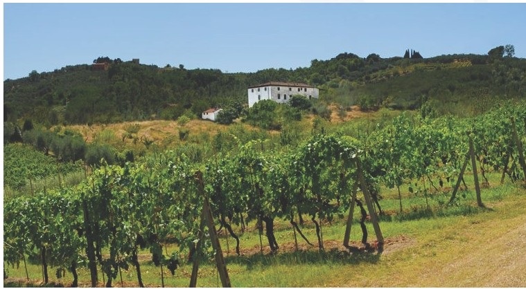 Rustico - Cascina LUCCA vendita  San Quirico di Moriano  ASIP sas di Maurizio Bolognini e C.