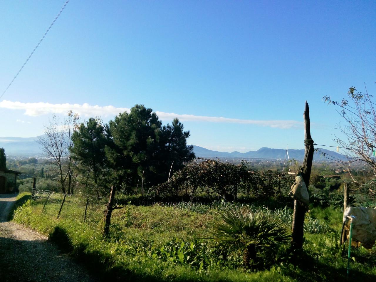 Rustico - Cascina CAPANNORI vendita    ASIP sas di Maurizio Bolognini e C.