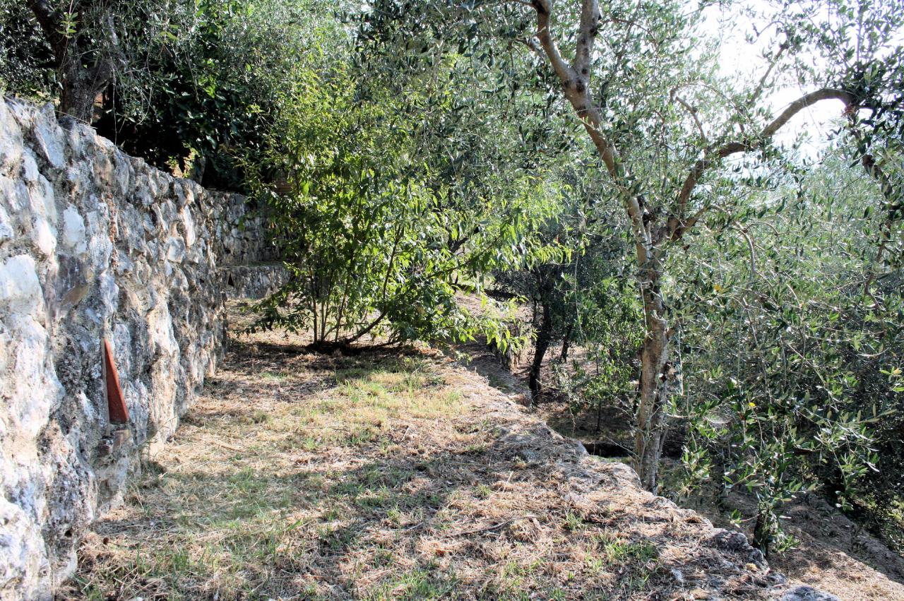 Rustico - Cascina CAMAIORE vendita    ASIP sas di Maurizio Bolognini e C.