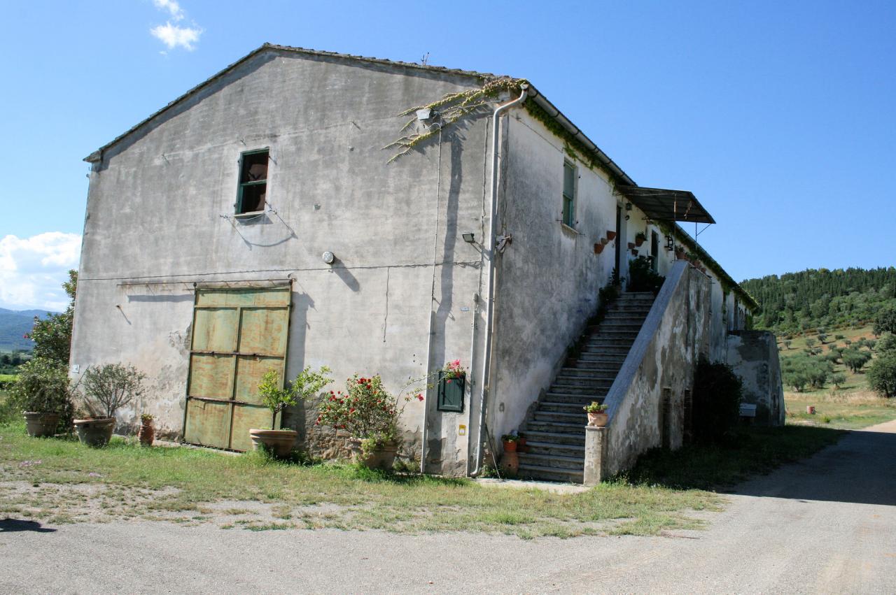 Rustico - Cascina CASTIGLIONE DELLA PESCAIA vendita    ASIP sas di Maurizio Bolognini e C.