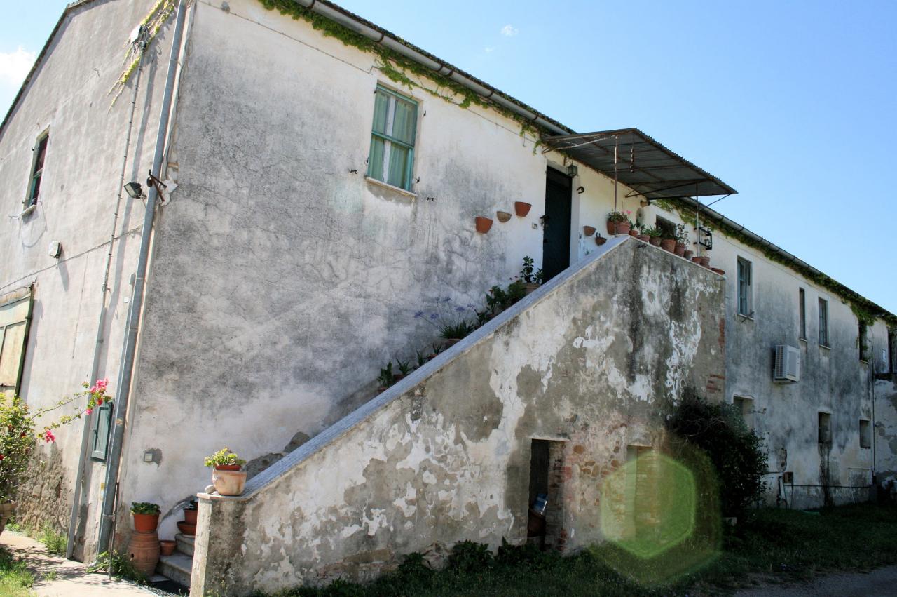 Rustico - Cascina CASTIGLIONE DELLA PESCAIA vendita    ASIP sas di Maurizio Bolognini e C.