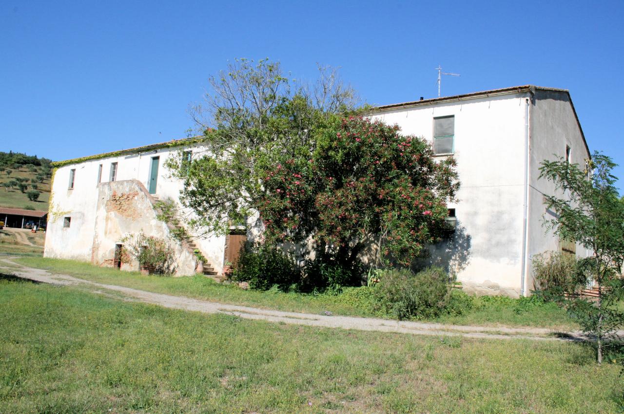 Rustico - Cascina CASTIGLIONE DELLA PESCAIA vendita    ASIP sas di Maurizio Bolognini e C.