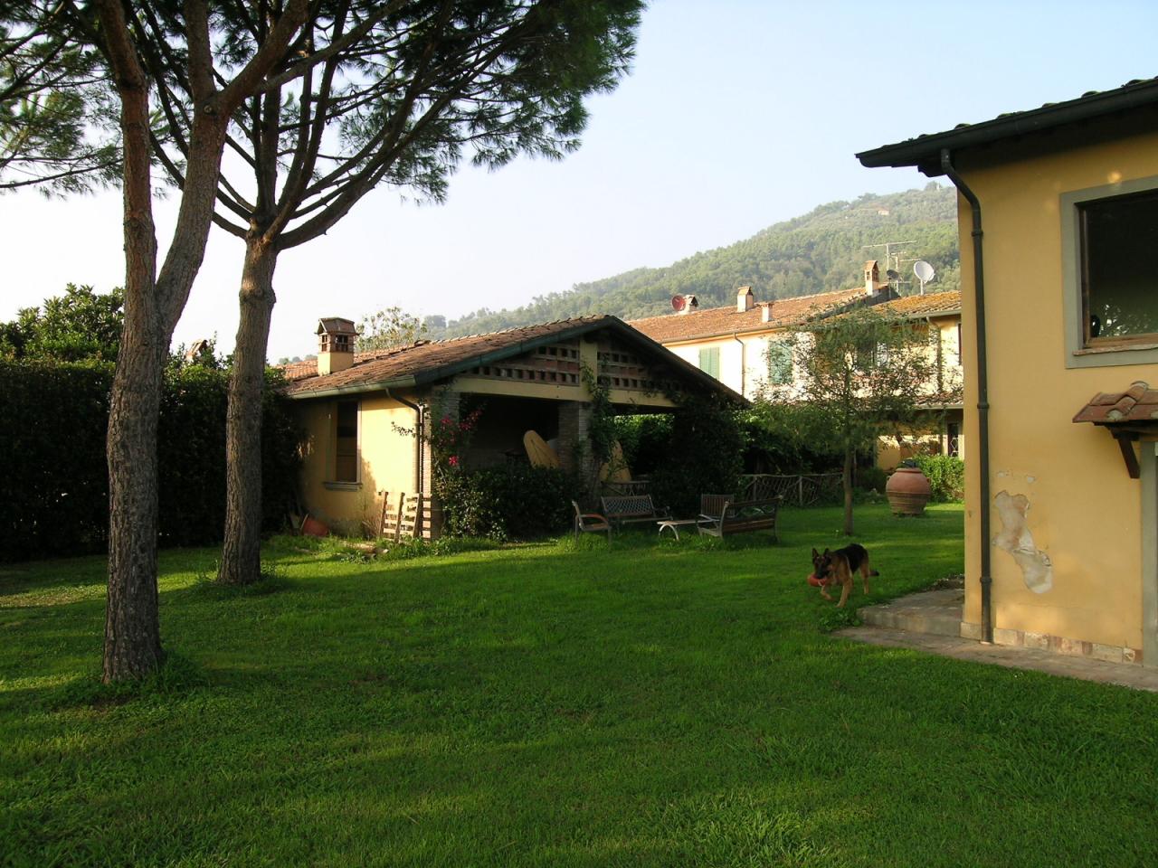 Villa MASSAROSA vendita  Piano di Mommio  ASIP sas di Maurizio Bolognini e C.