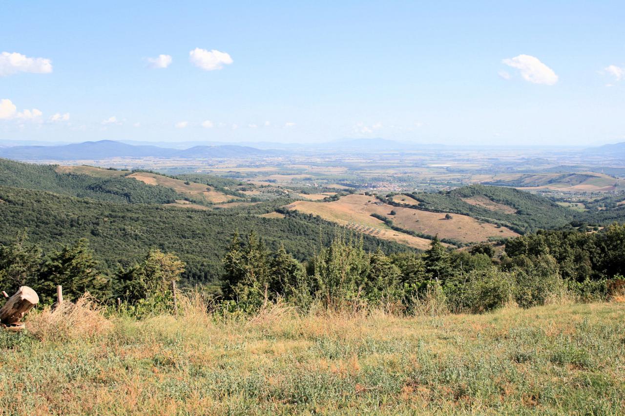  massa-marittima vendita quart:  asip-sas-di-maurizio-bolognini-e-c.