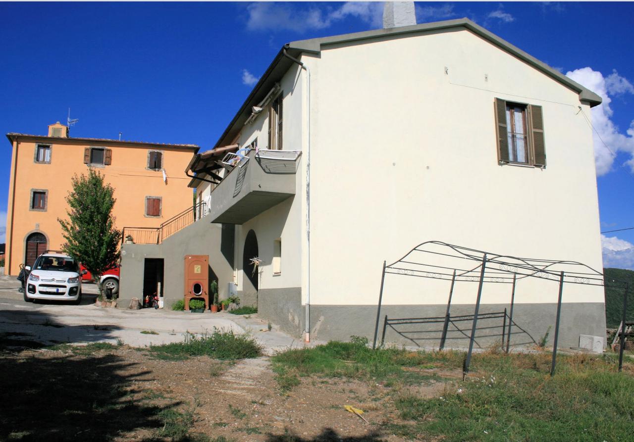 Rustico - Cascina MASSA MARITTIMA vendita    ASIP sas di Maurizio Bolognini e C.