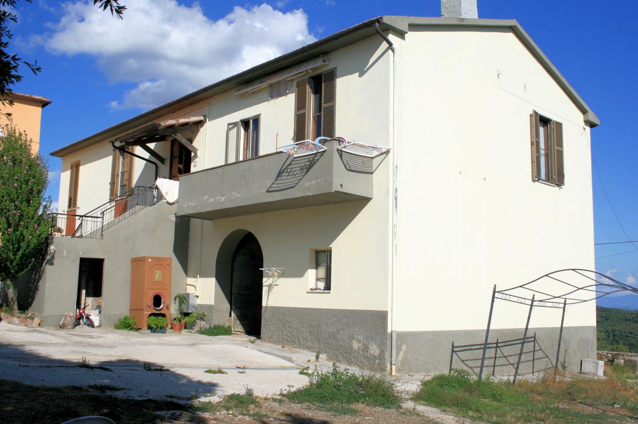 Rustico - Cascina MASSA MARITTIMA vendita    ASIP sas di Maurizio Bolognini e C.