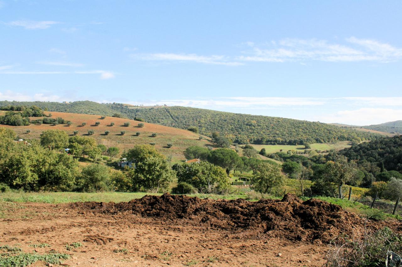 Rustico - Cascina MAGLIANO IN TOSCANA vendita  Montiano  ASIP sas di Maurizio Bolognini e C.