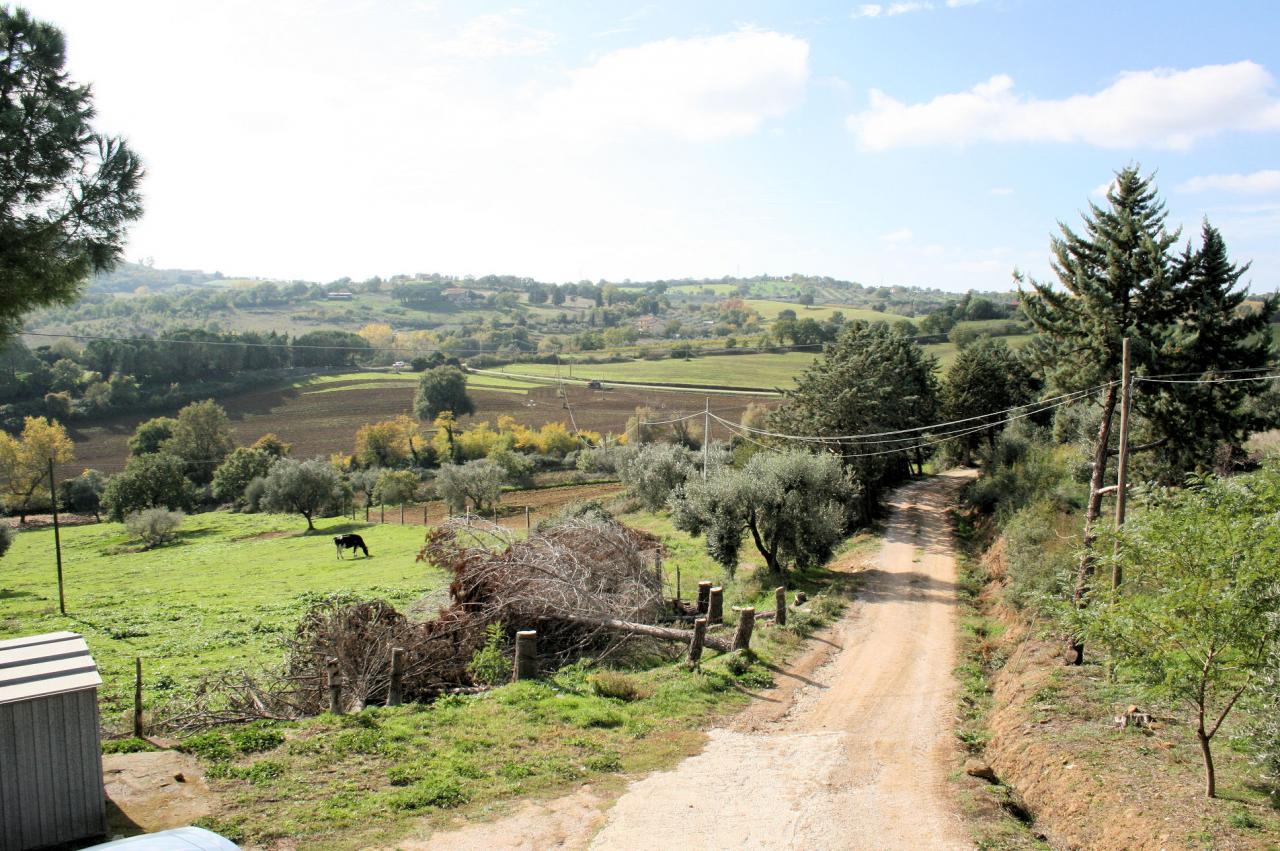 Rustico - Cascina MAGLIANO IN TOSCANA vendita  Montiano  ASIP sas di Maurizio Bolognini e C.