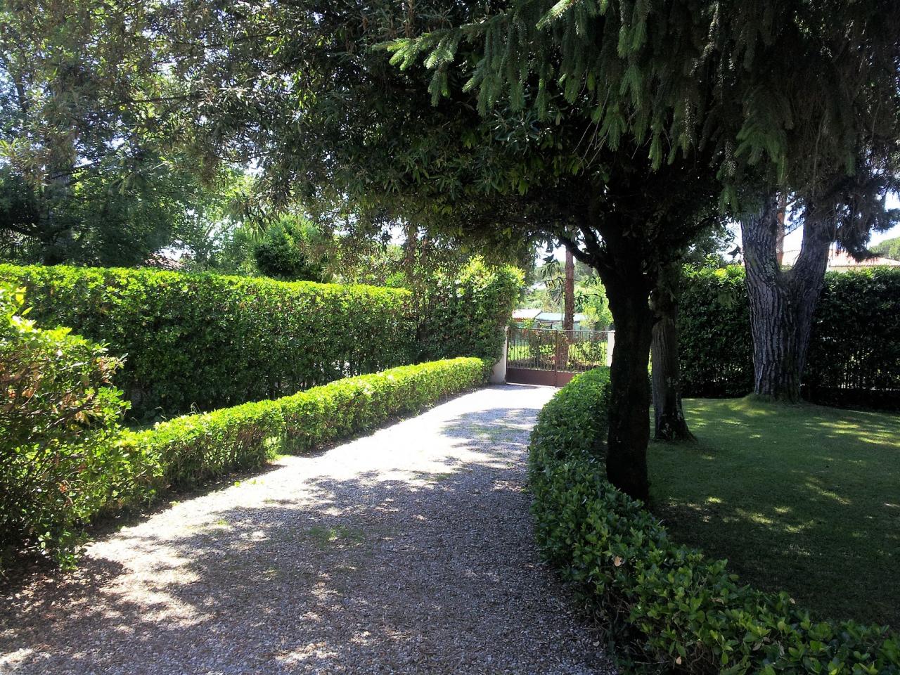 Villa FORTE DEI MARMI vendita  Vittoria Apuana  ASIP sas di Maurizio Bolognini e C.