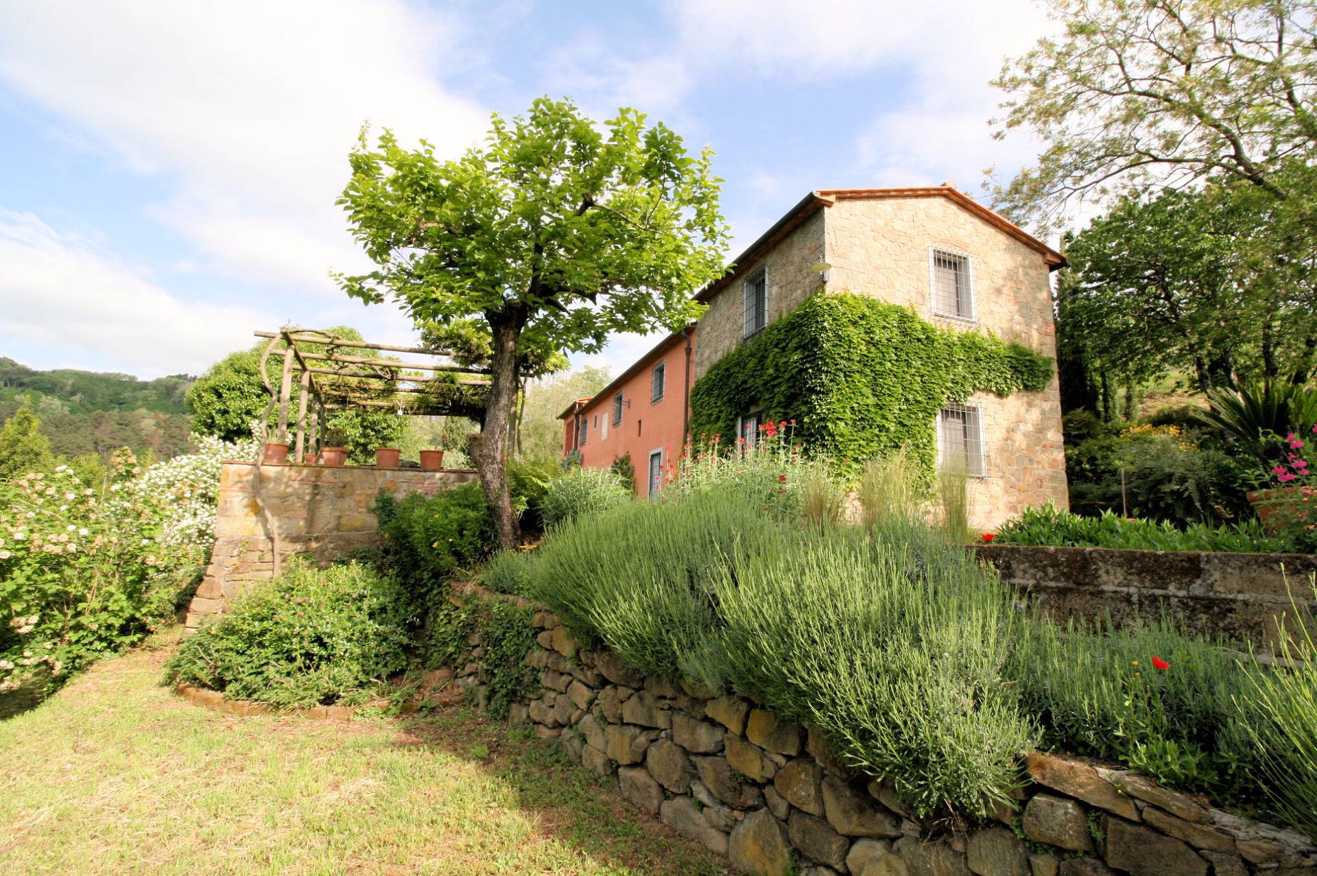 Rustico - Cascina BUGGIANO vendita    ASIP sas di Maurizio Bolognini e C.