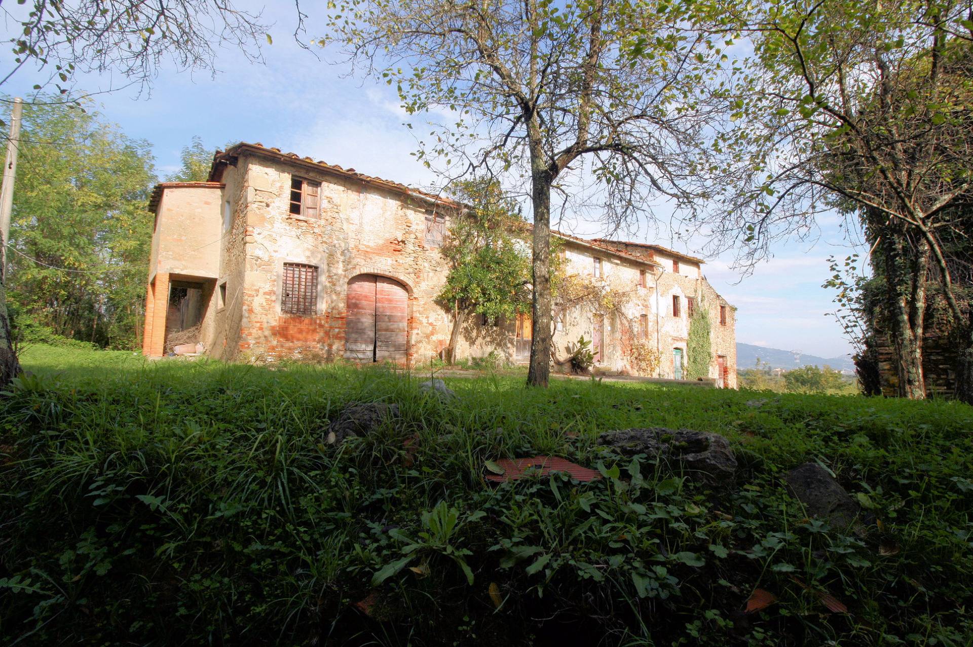  pescia vendita quart:  asip-sas-di-maurizio-bolognini-e-c.