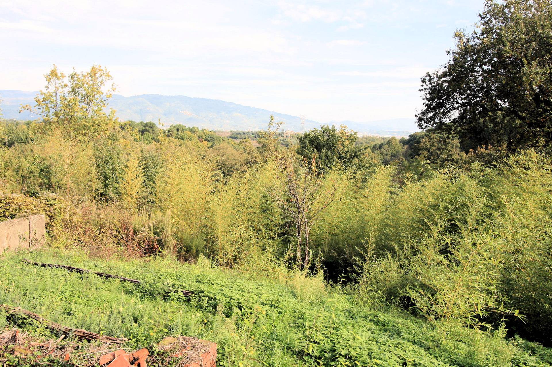 Rustico - Cascina PESCIA vendita    ASIP sas di Maurizio Bolognini e C.