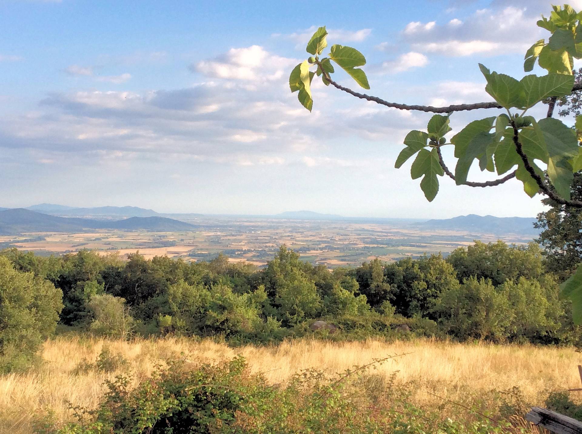 Rustico in vendita a Roccatederighi, Roccastrada (GR)