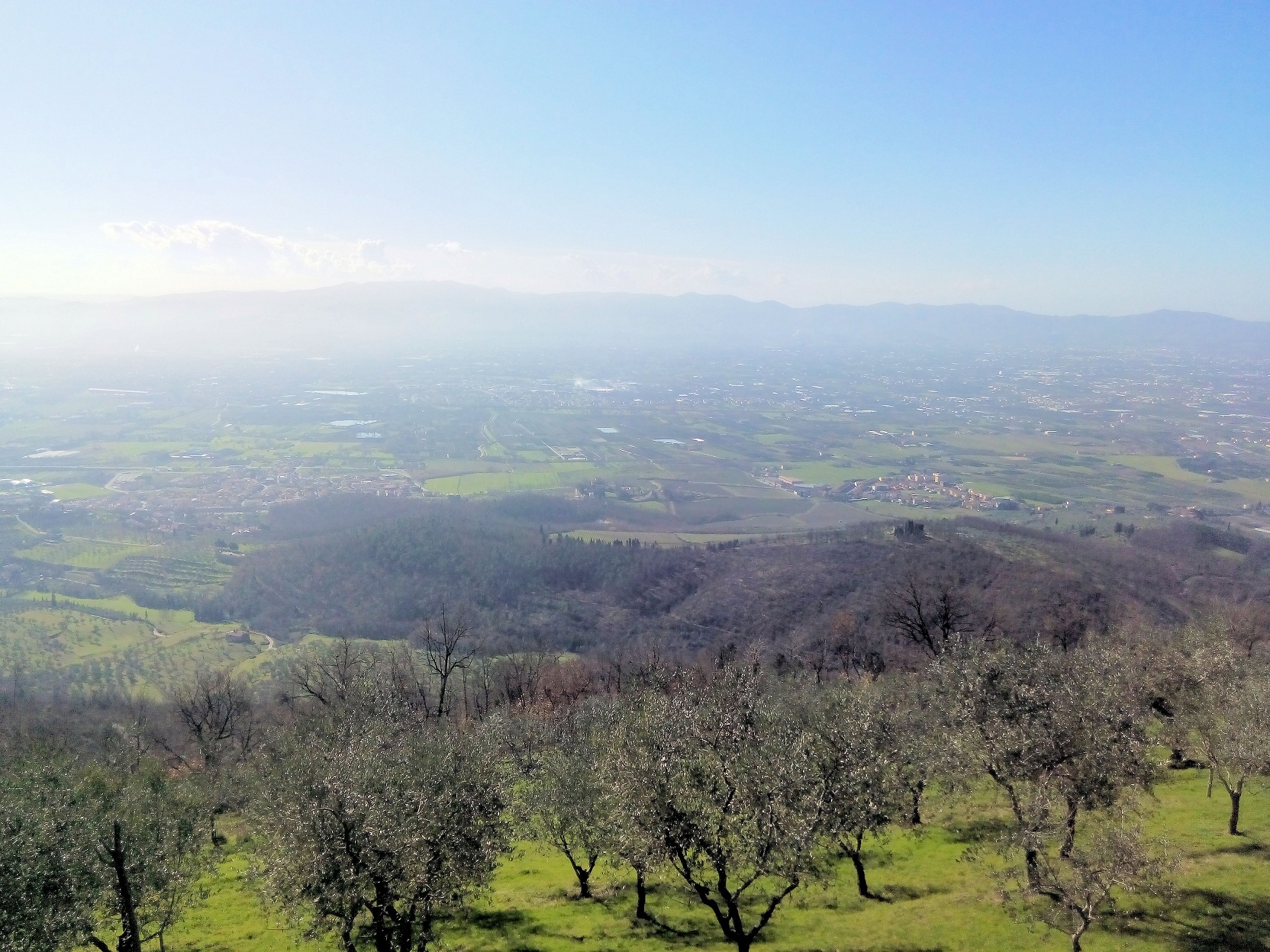 Rustico - Cascina MONTALE vendita    ASIP sas di Maurizio Bolognini e C.