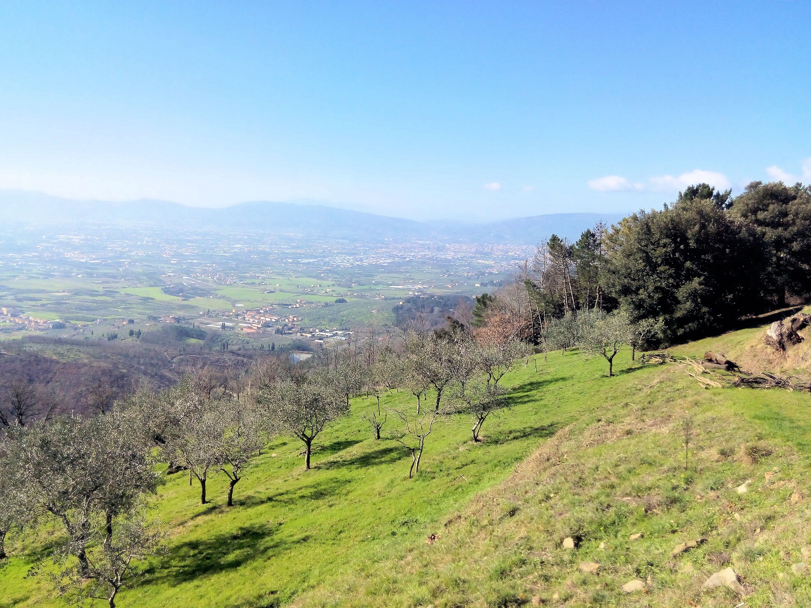  montale vendita quart:  asip-sas-di-maurizio-bolognini-e-c.