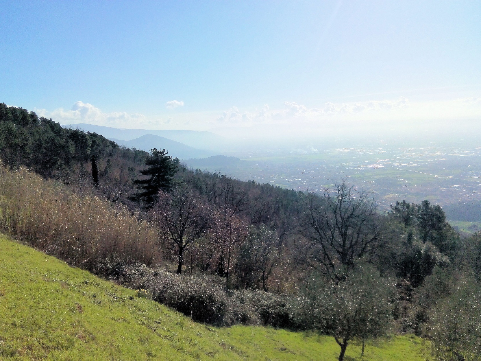 Rustico - Cascina MONTALE vendita    ASIP sas di Maurizio Bolognini e C.