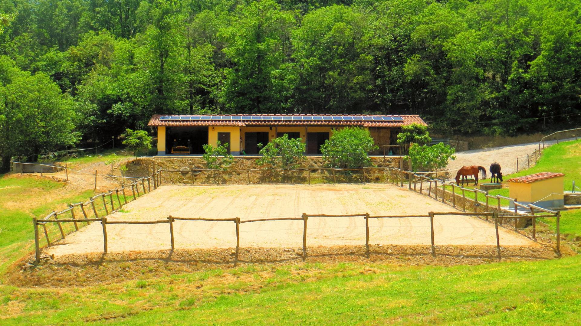 Rustico - Cascina ROCCASTRADA vendita    ASIP sas di Maurizio Bolognini e C.