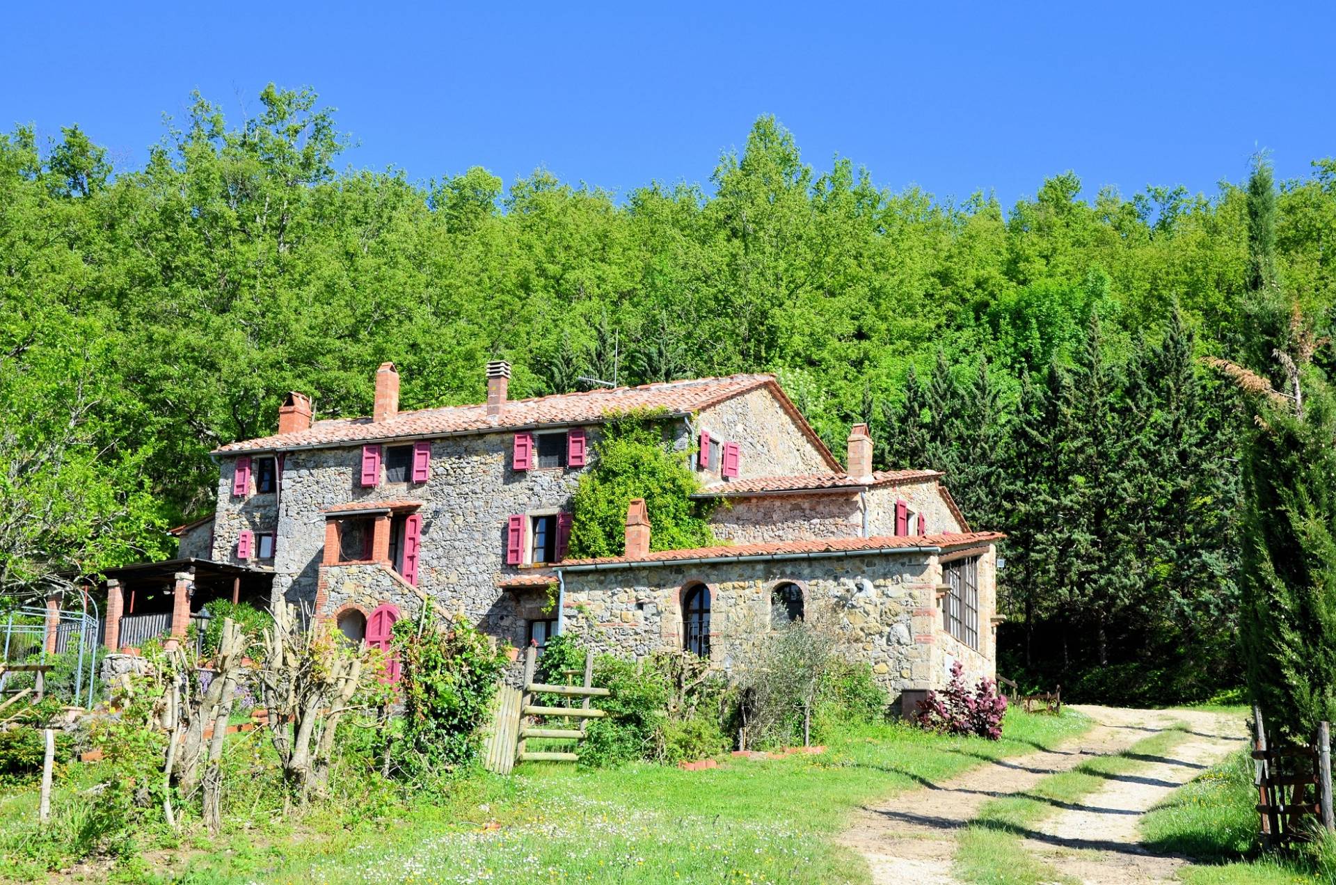 Rustico - Cascina MASSA MARITTIMA vendita    ASIP sas di Maurizio Bolognini e C.