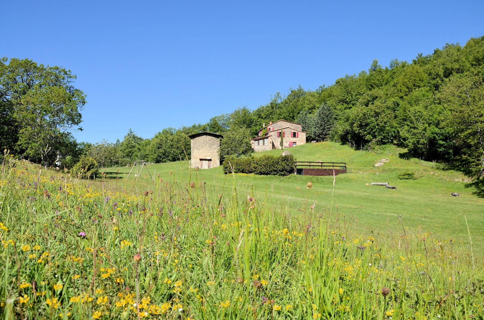 Rustico - Cascina MASSA MARITTIMA vendita    ASIP sas di Maurizio Bolognini e C.