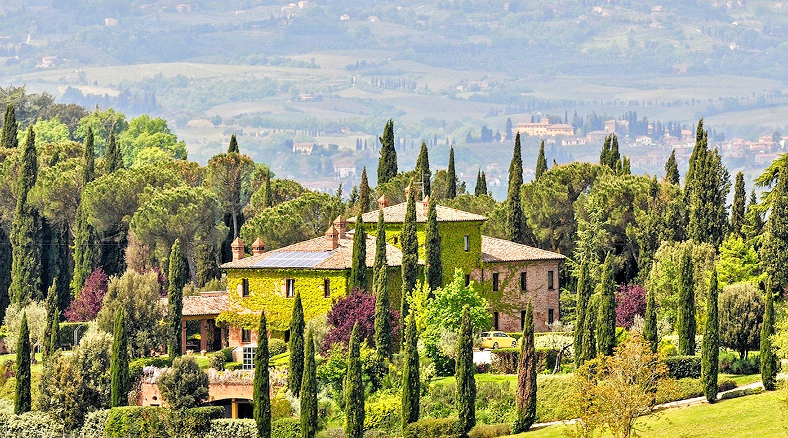  castiglione-del-lago vendita quart:  asip-sas-di-maurizio-bolognini-e-c.