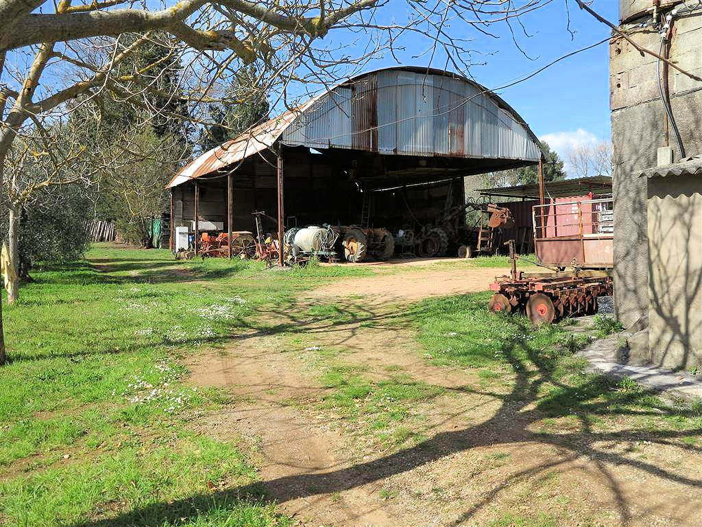 Rustico - Cascina GAVORRANO vendita  Ravi  ASIP sas di Maurizio Bolognini e C.