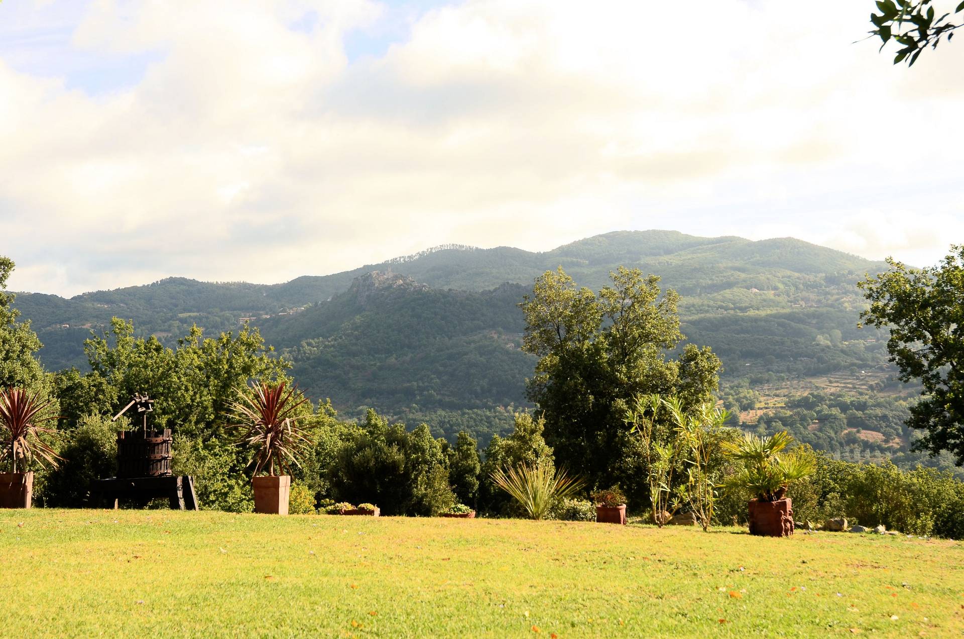 Rustico - Cascina ROCCASTRADA vendita  Montemassi  ASIP sas di Maurizio Bolognini e C.