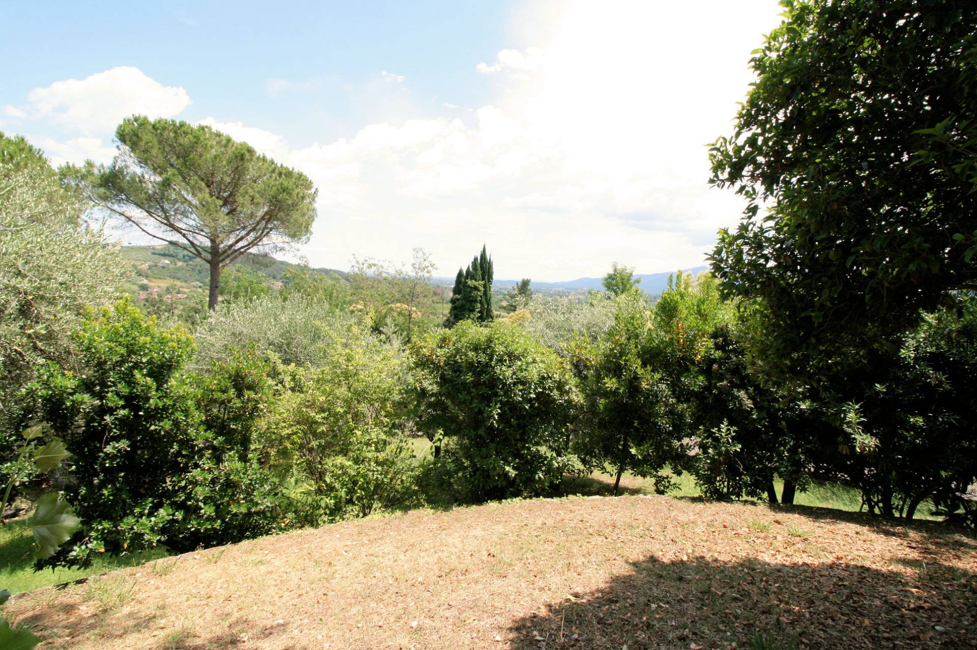 Rustico - Cascina LUCCA vendita    ASIP sas di Maurizio Bolognini e C.