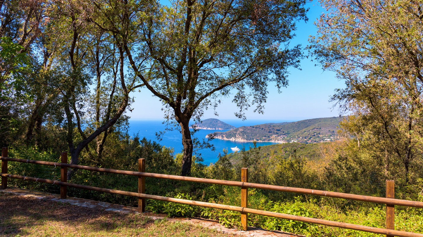 Villa MARCIANA vendita    ASIP sas di Maurizio Bolognini e C.