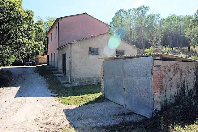 Rustico - Cascina ROCCASTRADA vendita    ASIP sas di Maurizio Bolognini e C.