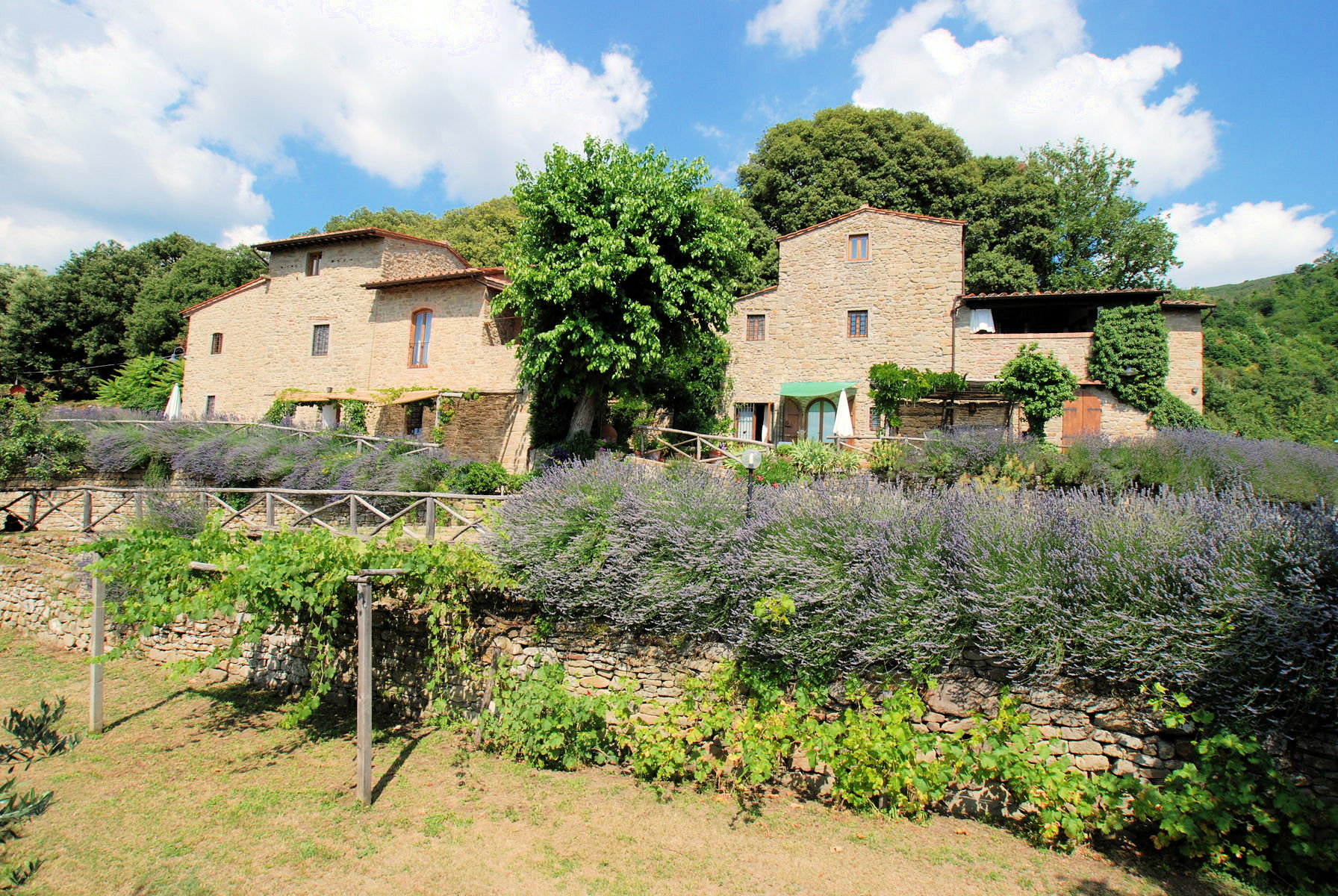  castelfranco-piandiscò vendita quart:  asip-sas-di-maurizio-bolognini-e-c.