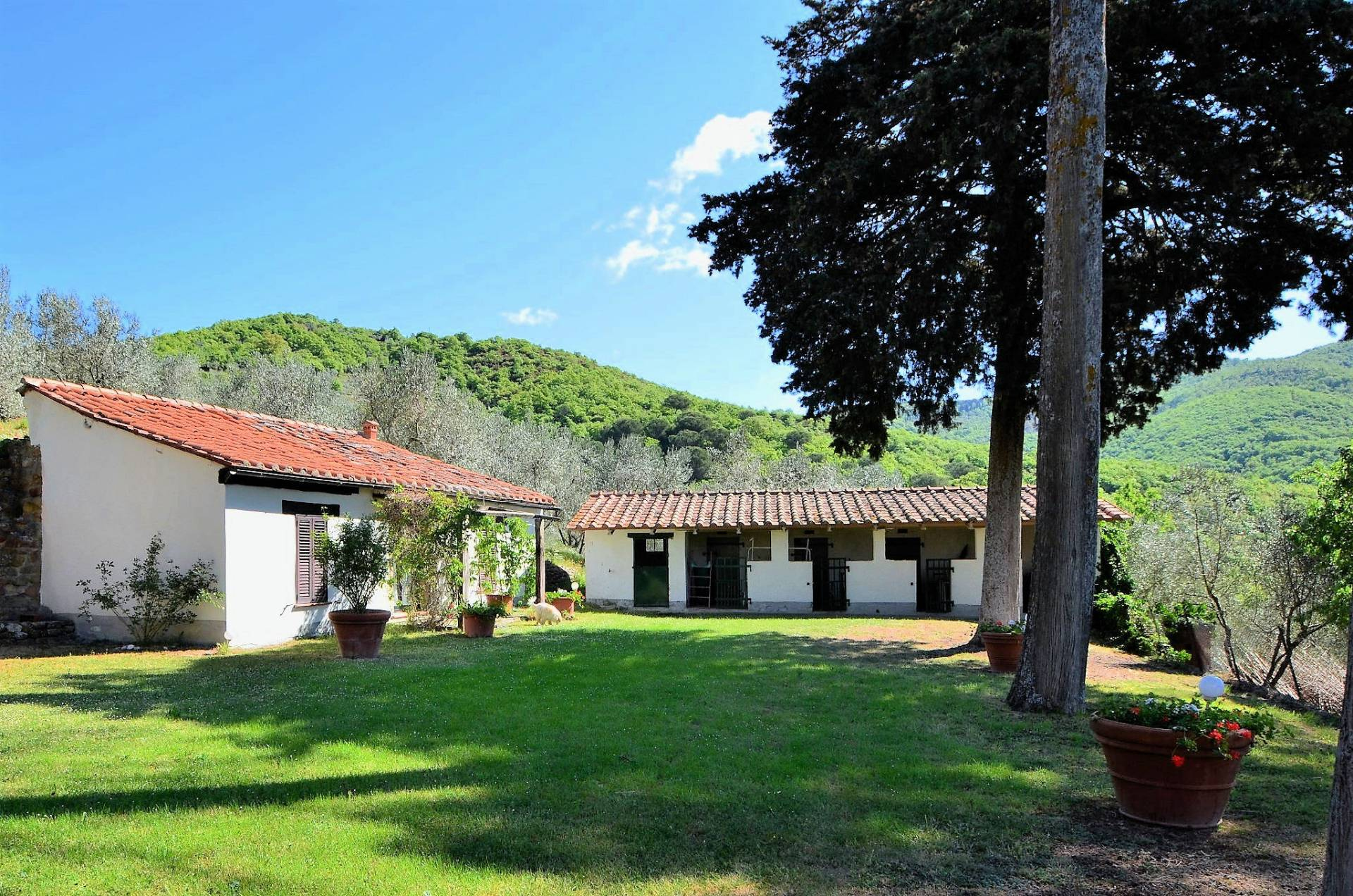 Rustico - Cascina CASTIGLION FIORENTINO vendita  Pieve di Chio  ASIP sas di Maurizio Bolognini e C.