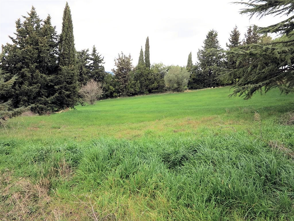 Rustico - Cascina MONTEROTONDO MARITTIMO vendita    ASIP sas di Maurizio Bolognini e C.