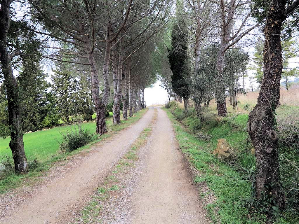 Rustico - Cascina MONTEROTONDO MARITTIMO vendita    ASIP sas di Maurizio Bolognini e C.