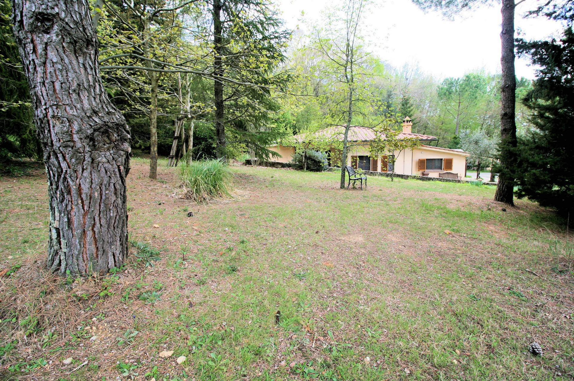Villa Unifamiliare - Indipendente ROCCASTRADA vendita  Sassofortino  ASIP sas di Maurizio Bolognini e C.