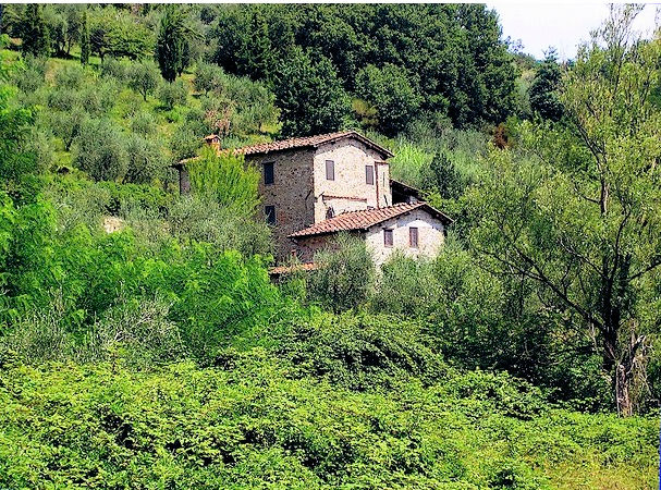  capannori vendita quart:  asip sas di maurizio bolognini e c.