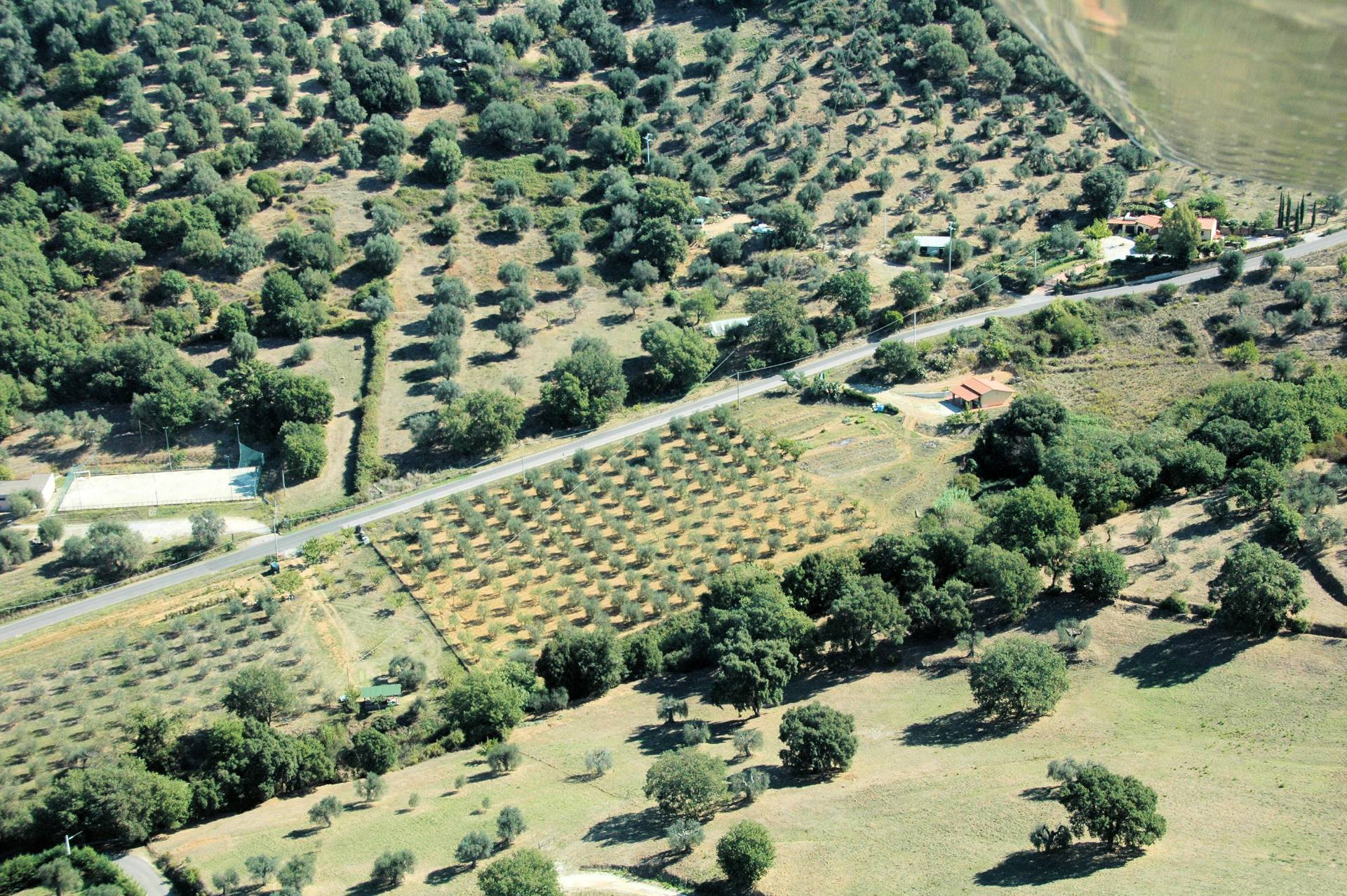 Rustico - Cascina SCARLINO vendita    ASIP sas di Maurizio Bolognini e C.