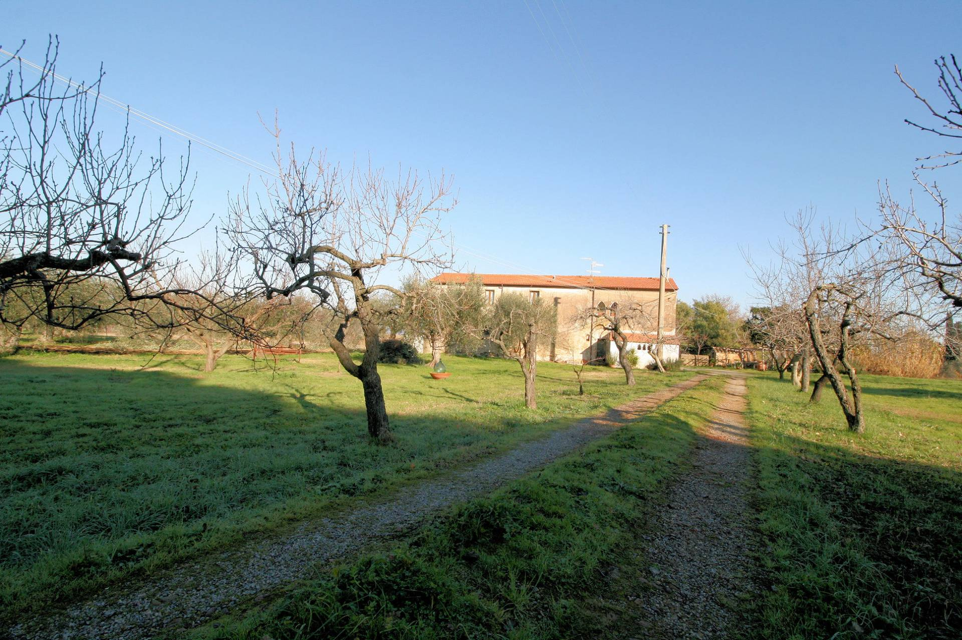 Rustico - Cascina SCARLINO vendita    ASIP sas di Maurizio Bolognini e C.