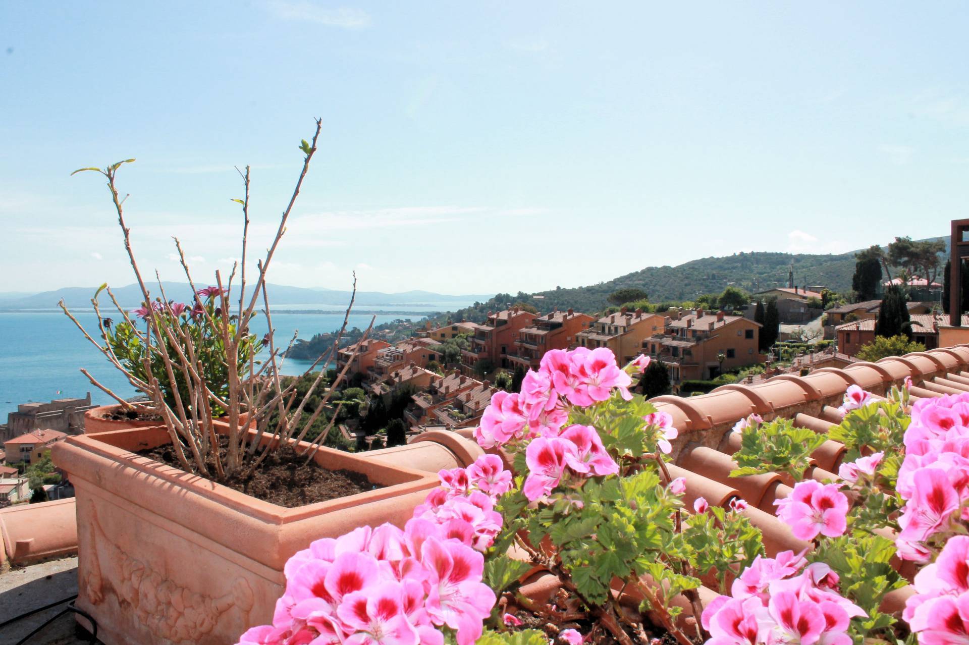  monte-argentario vendita quart: porto santo stefano asip-sas-di-maurizio-bolognini-e-c.