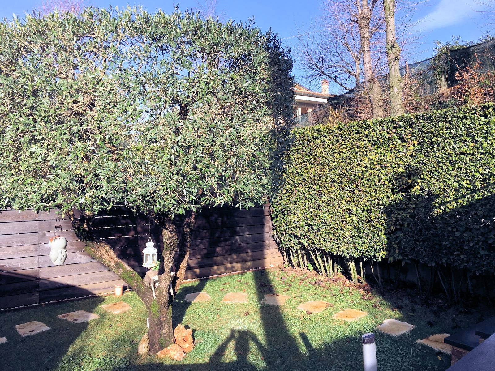 Villa CAMAIORE vendita    ASIP sas di Maurizio Bolognini e C.