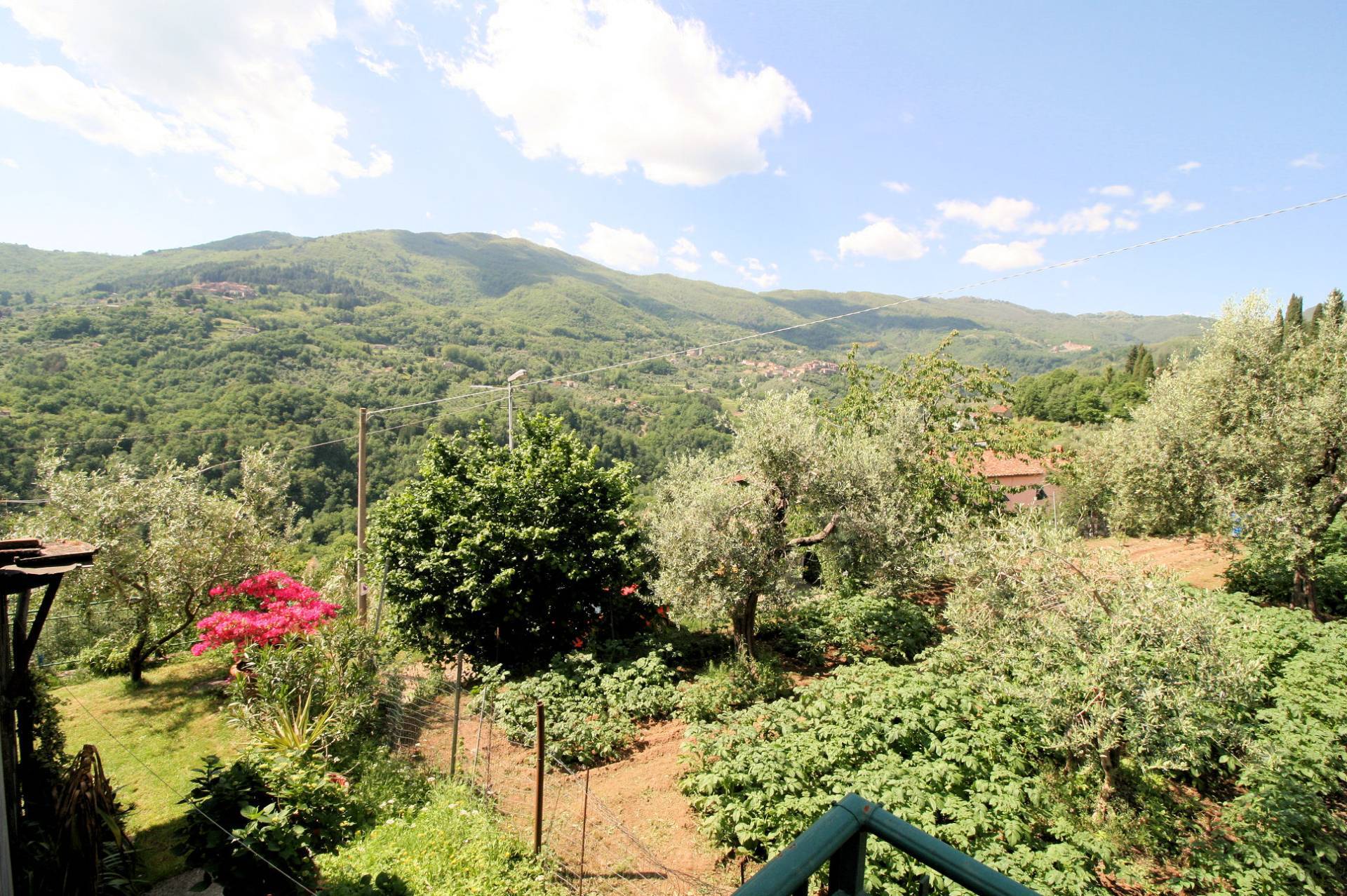 Rustico - Cascina PESCIA vendita  Sorana  ASIP sas di Maurizio Bolognini e C.