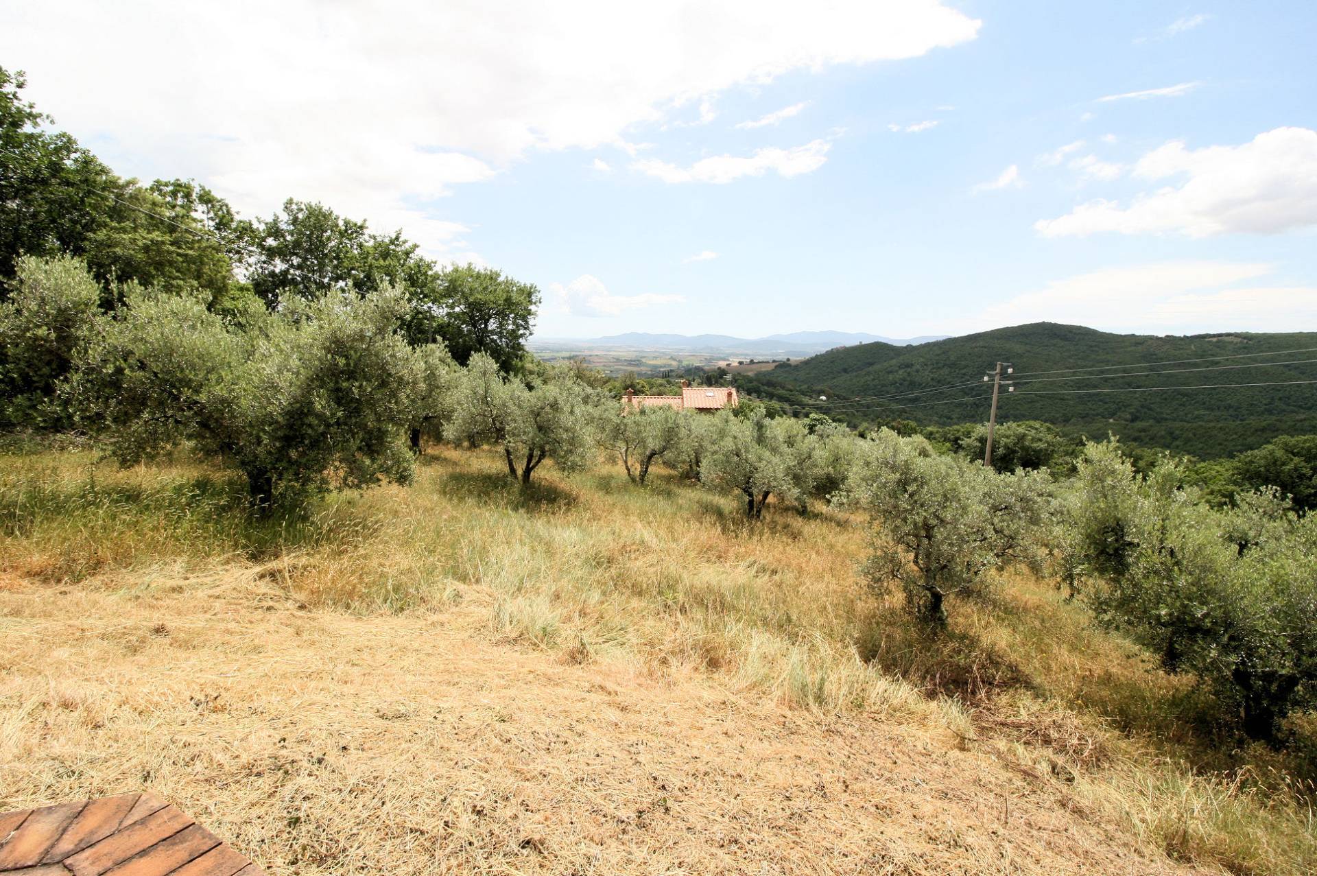 Rustico - Cascina ROCCASTRADA vendita  Roccatederighi  ASIP sas di Maurizio Bolognini e C.