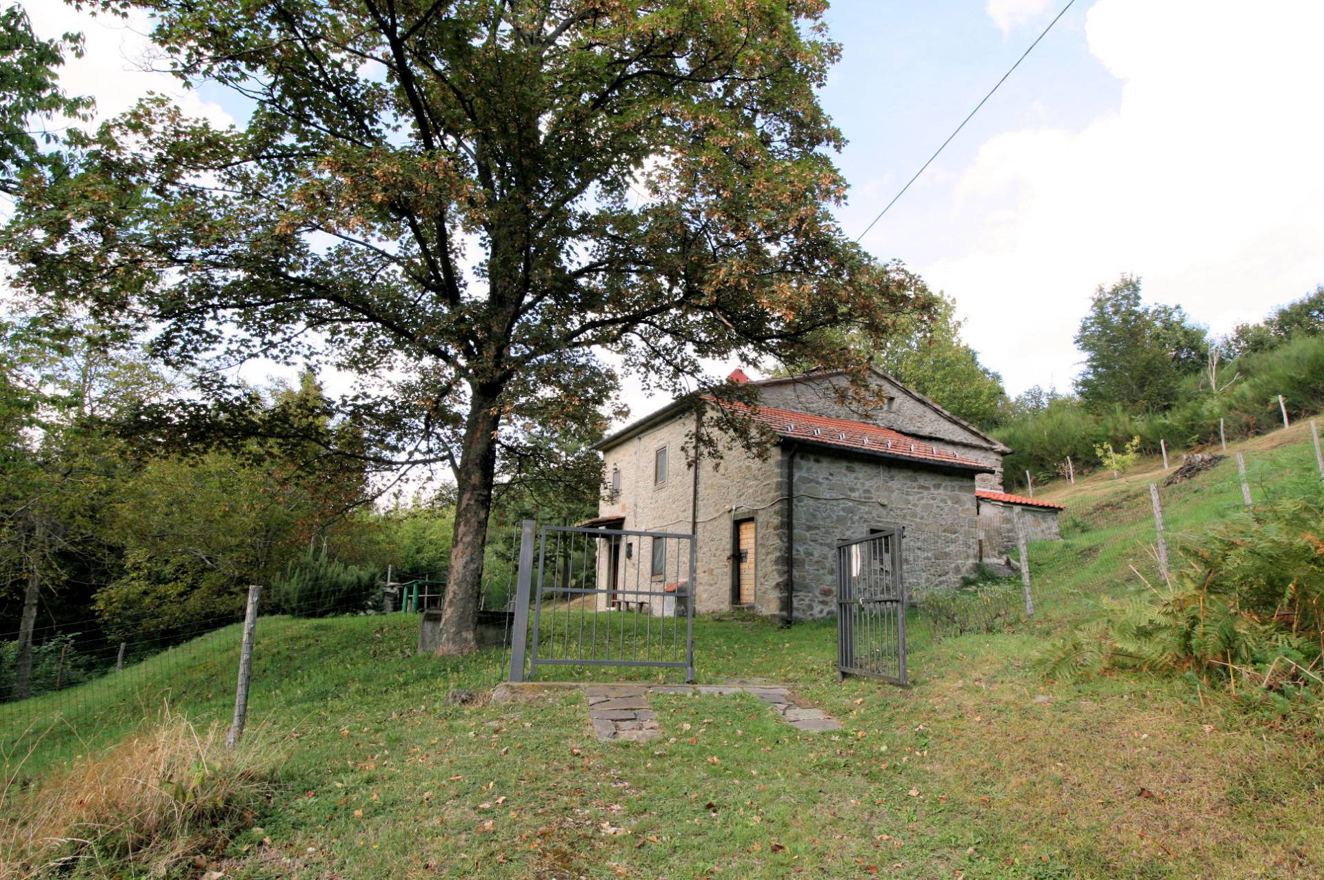  cutigliano vendita quart:  asip sas di maurizio bolognini e c.