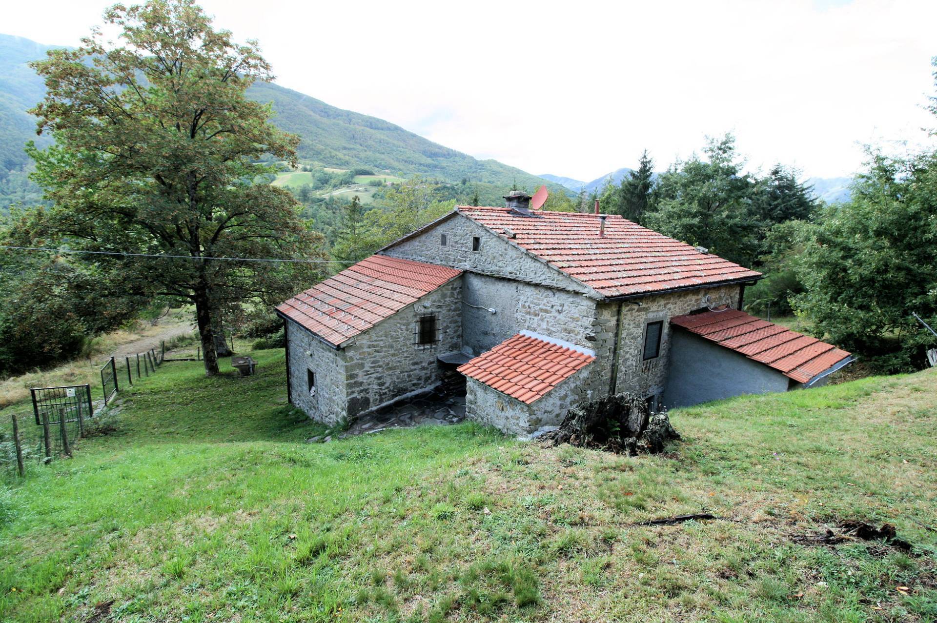 Villa Unifamiliare - Indipendente CUTIGLIANO vendita    ASIP sas di Maurizio Bolognini e C.