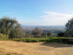 Appartamento in vendita a Buggiano (PT)