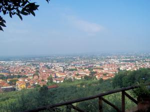 Rustici con vista panoramica mozzafiato in vendita a Monsummano Terme