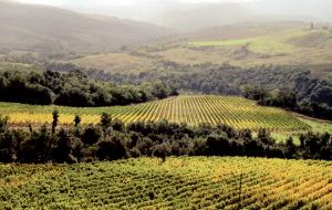Stupendo complesso turistico ricettivo in posizione strategica in vendita a Grosseto