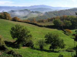 Stupendo complesso turistico ricettivo in posizione strategica in vendita a Grosseto
