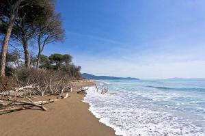 Stupendo complesso turistico ricettivo in posizione strategica in vendita a Grosseto