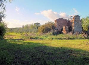 Piccola azienda agricola con possibilita' di costruire villa di campagna in vendita a Pitigliano