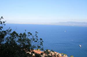 Villa con dependance e vista mare in vendita a Monte Argentario